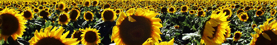 Hotel Wellness Zalakaros Rotating Header Image